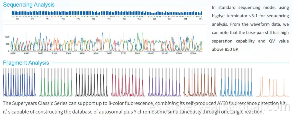 Analizador genético de fluorescencia de 8 colores